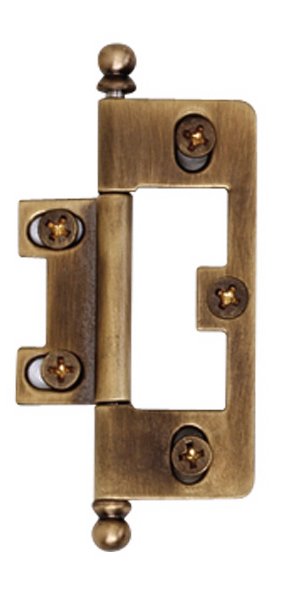 Mortise Hinge in Antique English