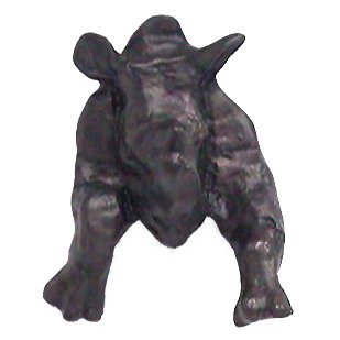 Rhino Running Knob in Bronze with Verde Wash