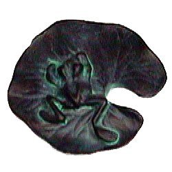 Lily Pad w/ Frog Knob (Medium) in Bronze with Black Wash
