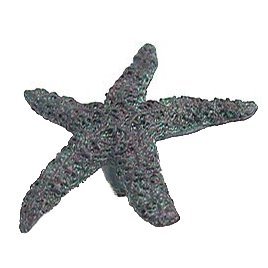 Starfish Knob in Black with Terra Cotta Wash