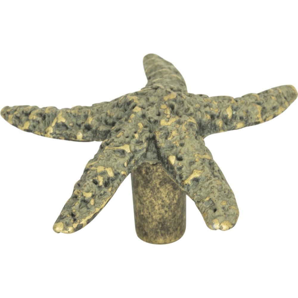 Starfish Knob In Verdigris