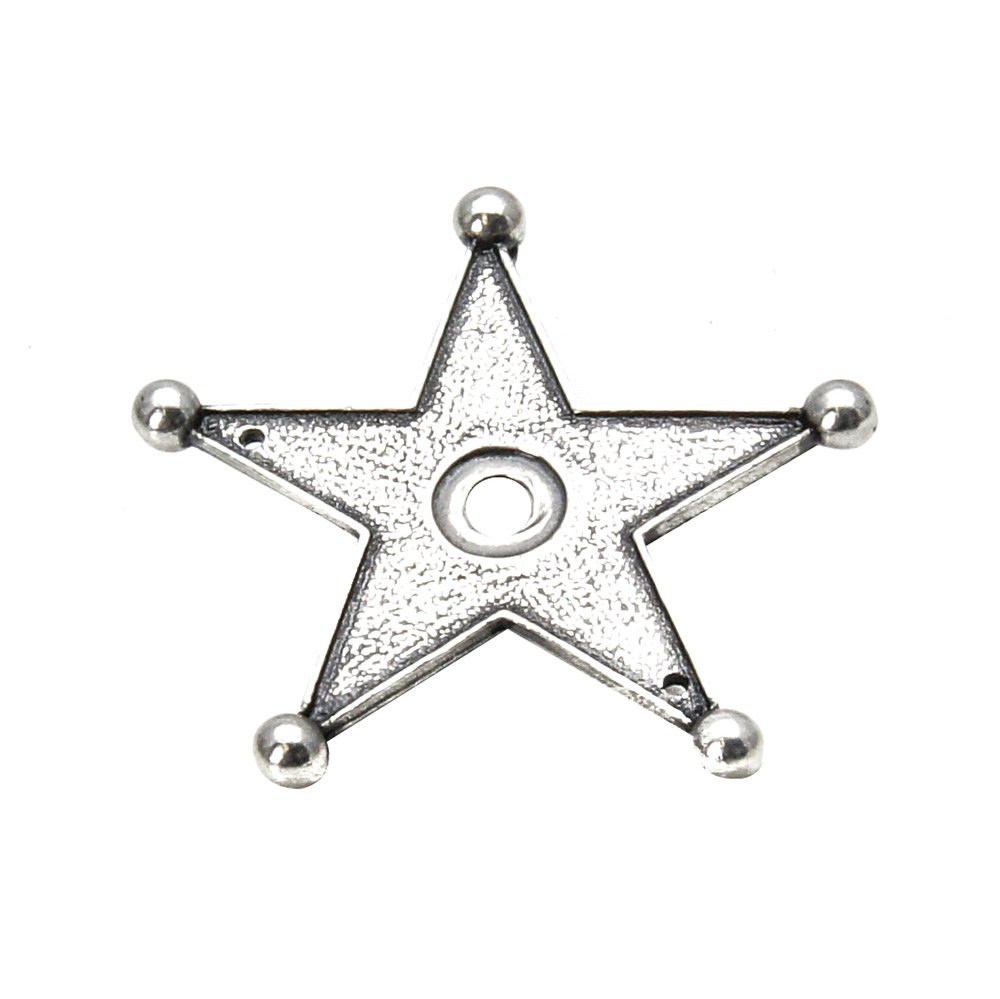 Western Star Backplate in Platinum