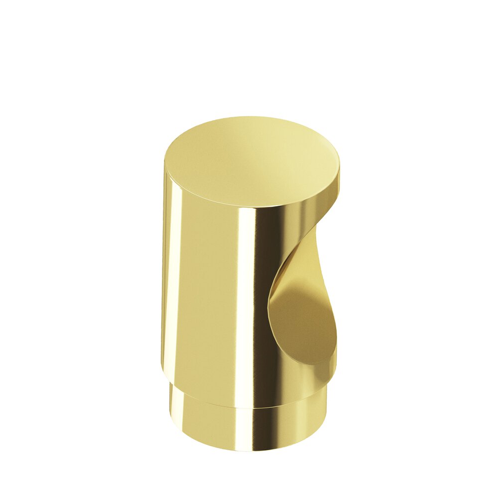 0.5" Diameter Round Cabinet Knob In Polished Brass