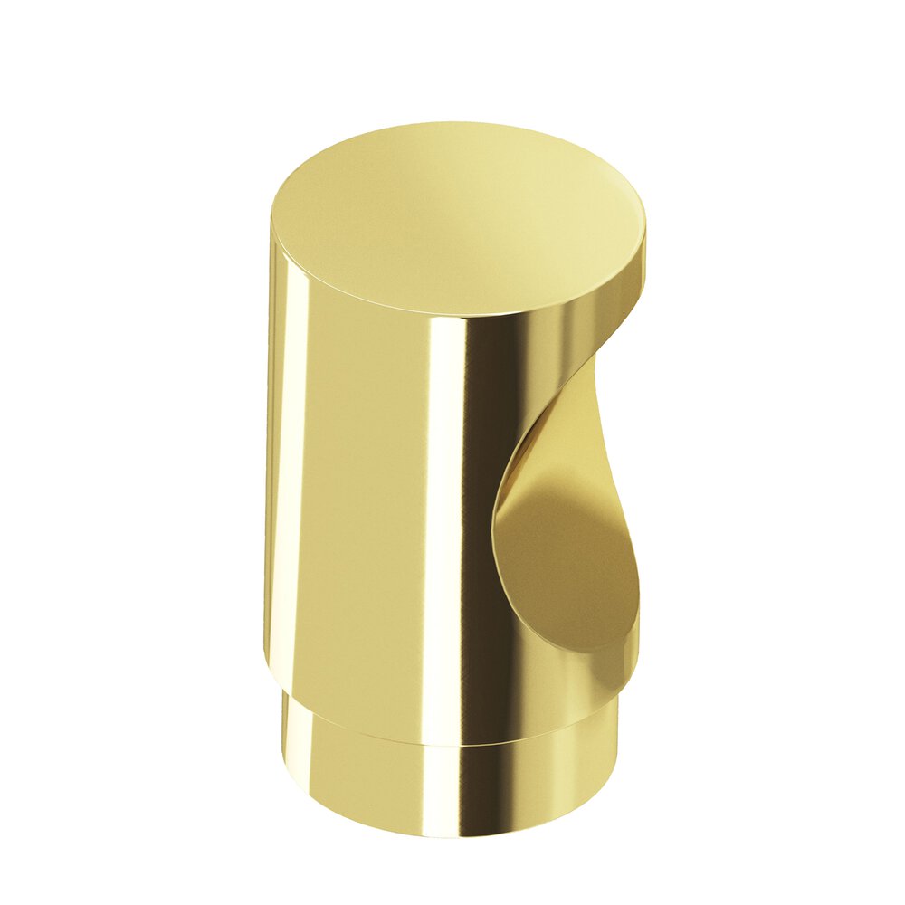 1" Diameter Round Cabinet Knob In Polished Brass
