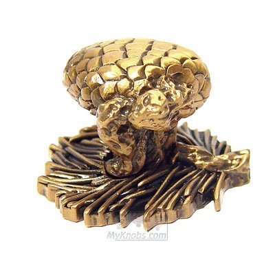 Arts and Craft Pinecone Knob in Museum Gold