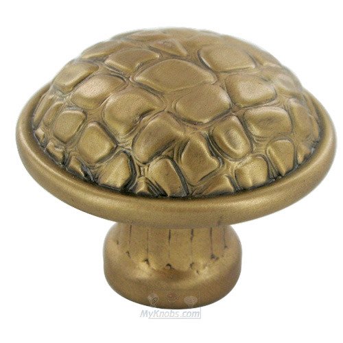 1 3/8" Diameter Alligator Knob in Oiled Bronze
