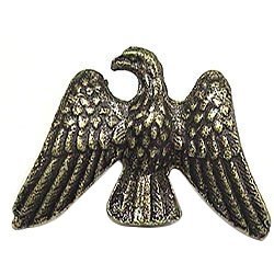 Eagle Knob in Antique Matte Brass