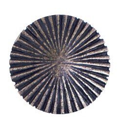 Stripes Knob in Antique Matte Copper