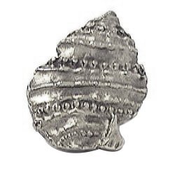 Pointed Seashell Knob in Antique Bright Silver