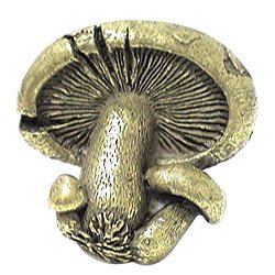 Mushroom Knob in Aged Brass