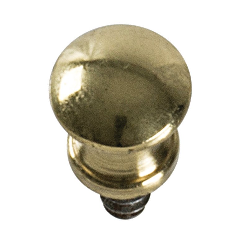 3/8" Diameter Knob in Polished Brass