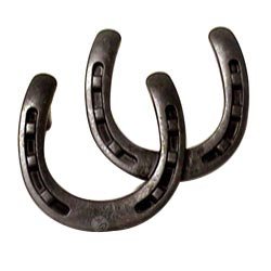 Double Horseshoe Pull in Oil Rubbed Bronze