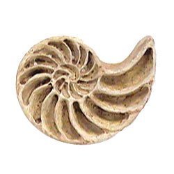 Medium Nautilus Knob (Facing Right) in Pewter Matte