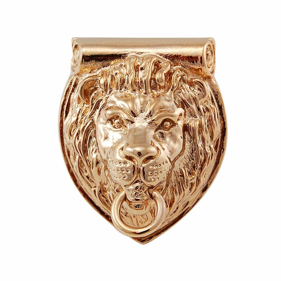 Lion Head Knob in Polished Gold