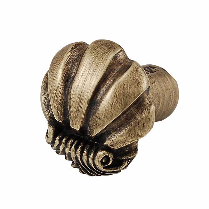Small Shell Design Knob in Antique Brass