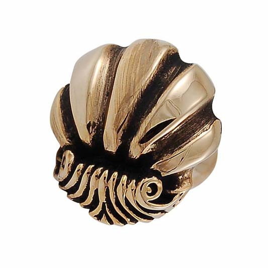 Small Shell Design Knob in Antique Gold