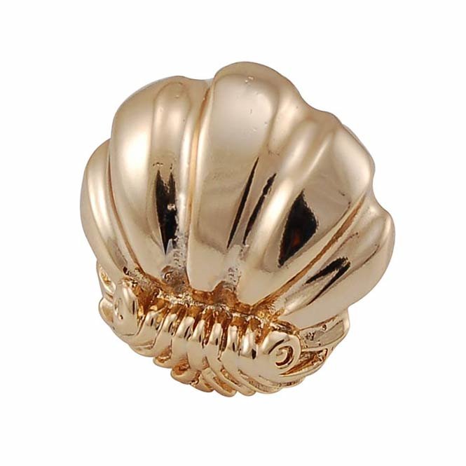 Small Shell Design Knob in Polished Gold