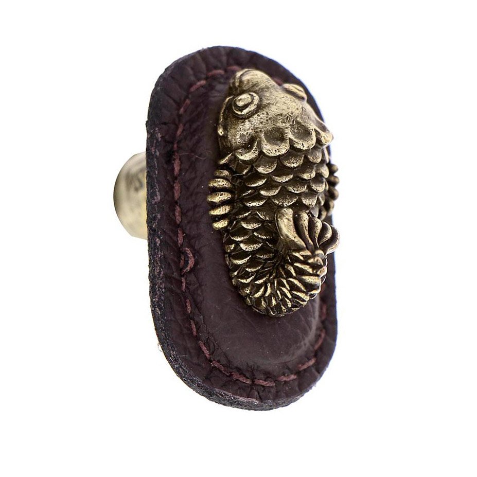 Leather Collection Pesci Knob in Brown Leather in Antique Brass