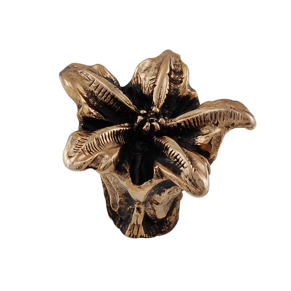 1 1/2" Lily Knob in Antique Gold