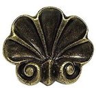 Scroll Shell Knob in Antique Matte Brass