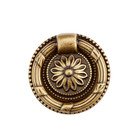 1 7/16" Round Traditional Brass Ring Pull in Florence