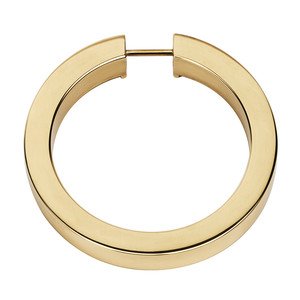 Alno Creations Cabinet Hardware - Convertibles Ring Pulls - 3" Round Ring in Polished Brass