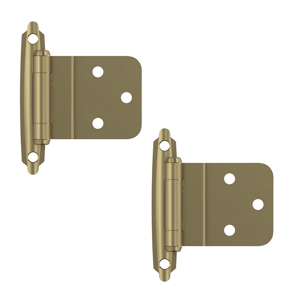 3/8" (10 mm) Inset Self Closing Face Mount Cabinet Hinge (Pair) in Golden Champagne