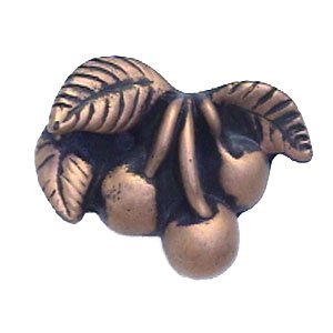Cherries Knob in Bronze with Verde Wash