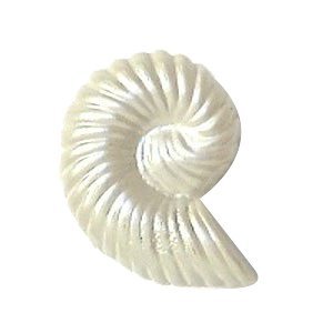 Nautilus Knob (Small Tails up-right) in Satin Pearl