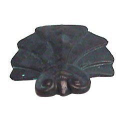 Deco Shell Knob in Antique Bronze