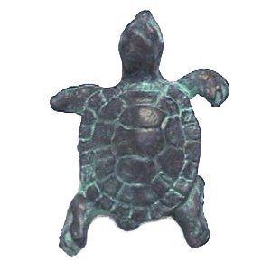 Turtle Knob (Large) in Pewter Matte