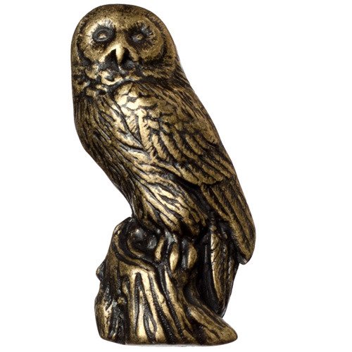 Owl Knob in Antique Brass