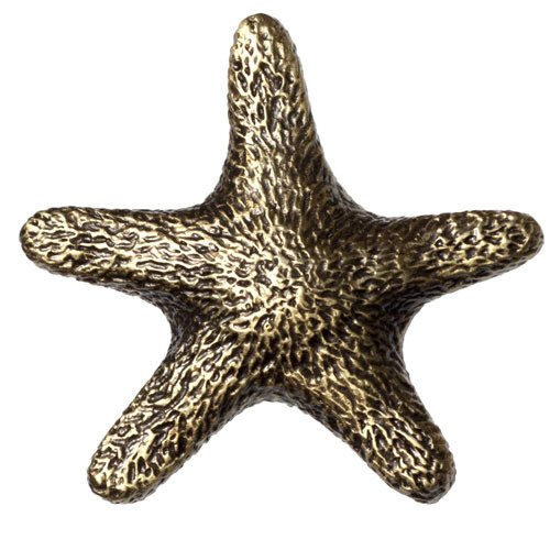 Star Fish Knob in Antique Brass
