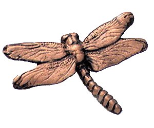 Dragonfly Knob in Satin Gold