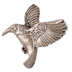 Hummingbird Knob in Platinum