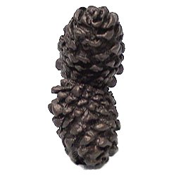 Double Pinecone Knob in Antique Brass