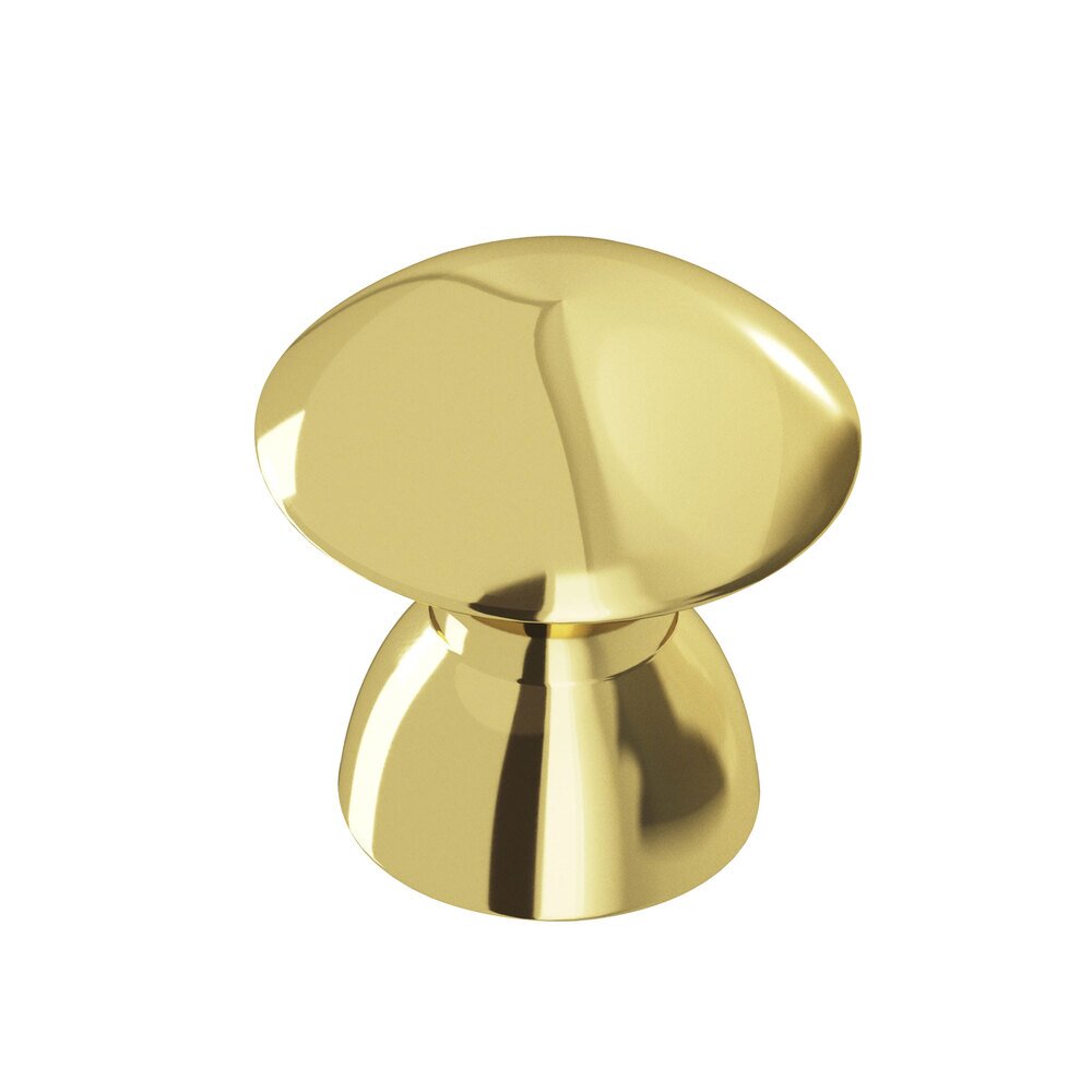 1" Diameter Knob In Polished Brass