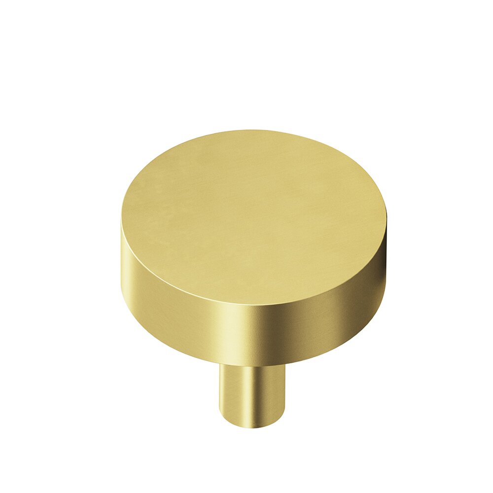 1" Diameter Round Knob in Matte Satin Brass