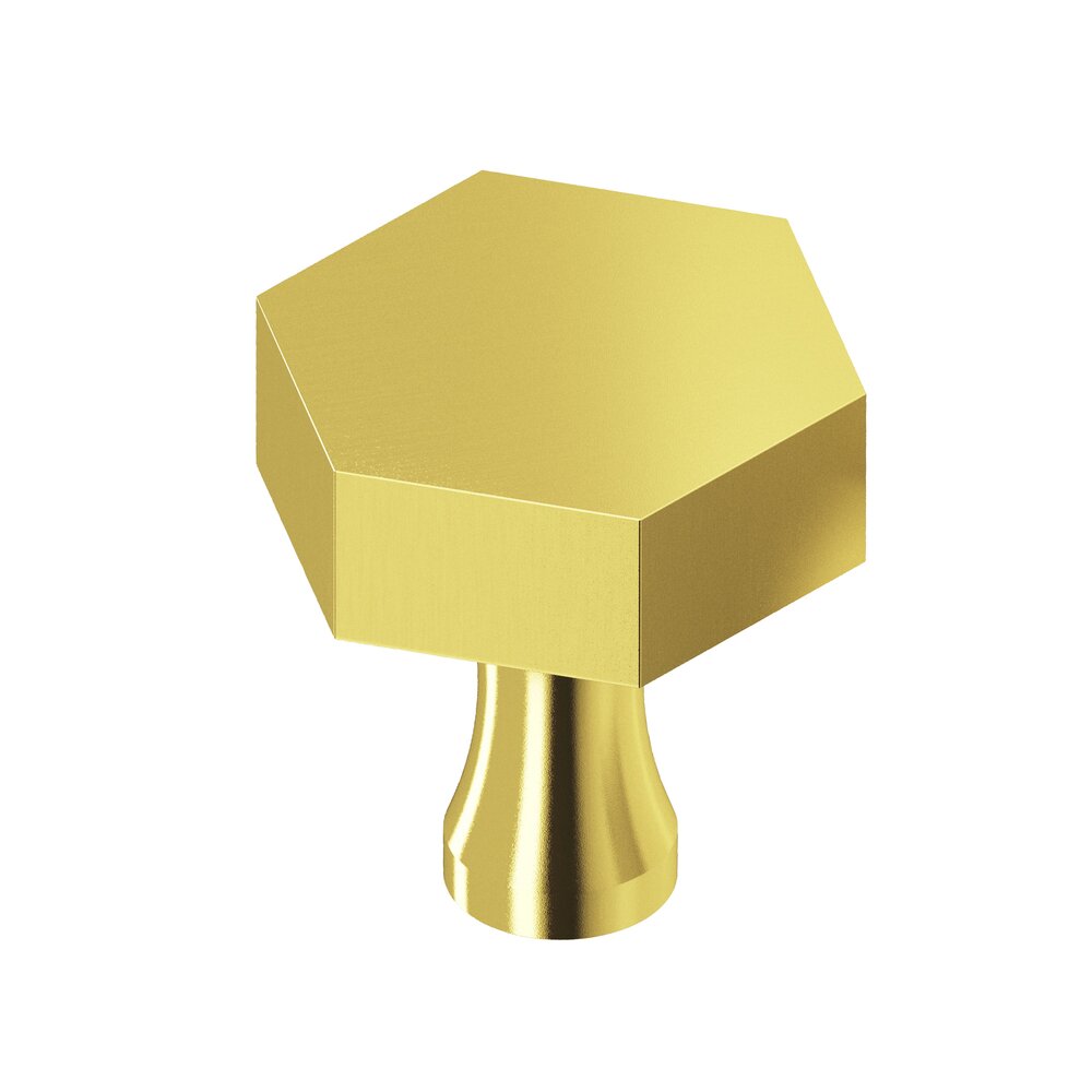 1 1/2" Hex Knob in French Gold