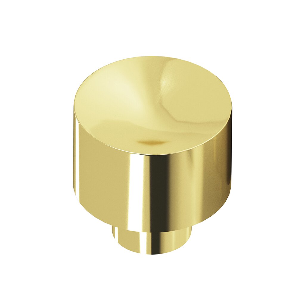 1" Diameter Cabinet Knob in Polished Brass