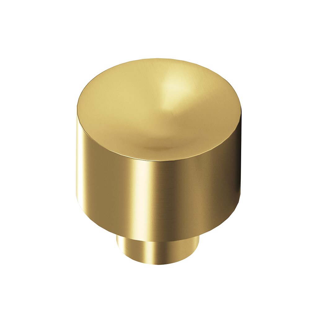 1" Diameter Cabinet Knob in Satin Brass