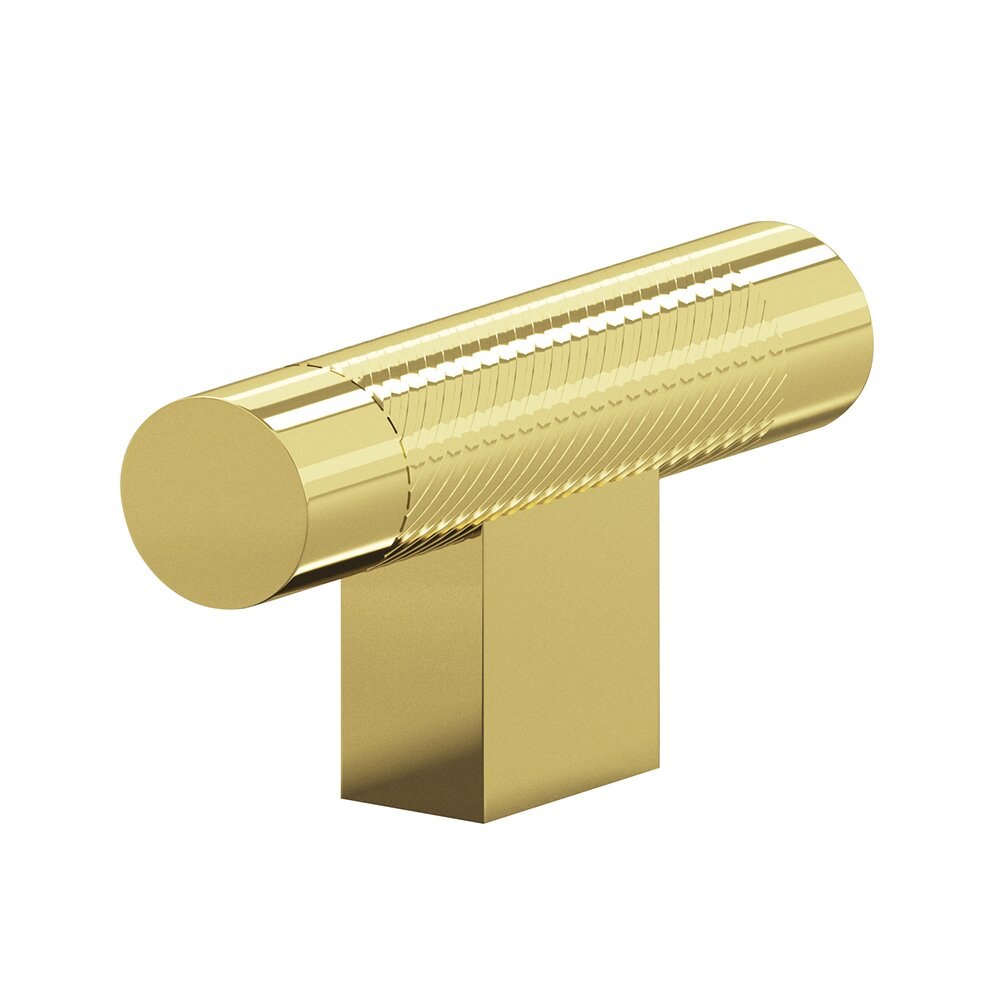 1/2" T Cabinet Knob Hand Finished in Polished Brass