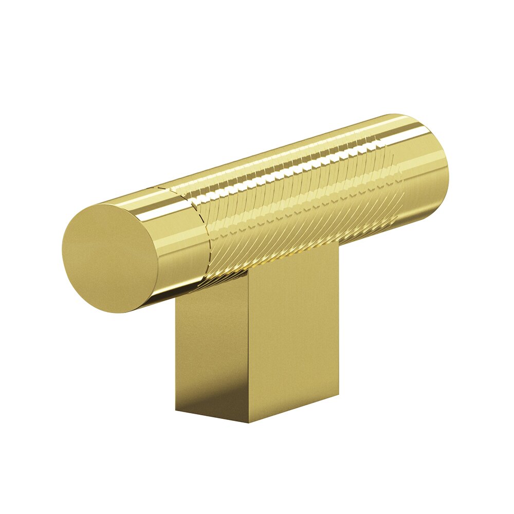 1/2" T Cabinet Knob Hand Finished in Unlacquered Polished Brass
