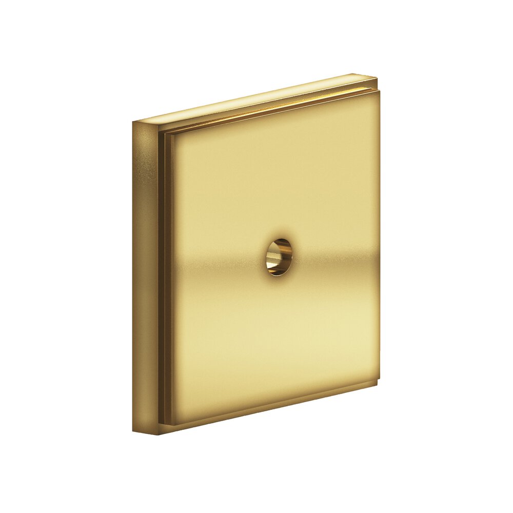 1.5" Square Stepped Backplate In Antique Bronze