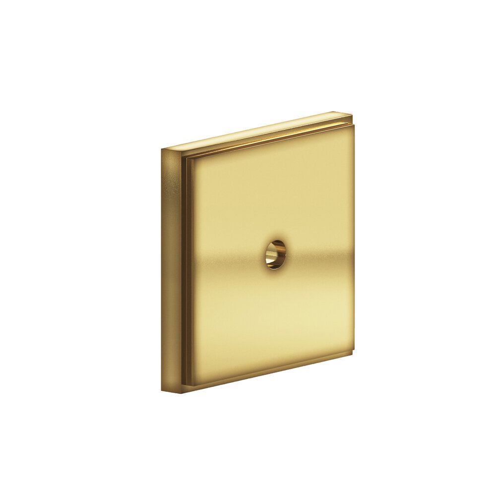 1" Square Stepped Backplate In Antique Bronze
