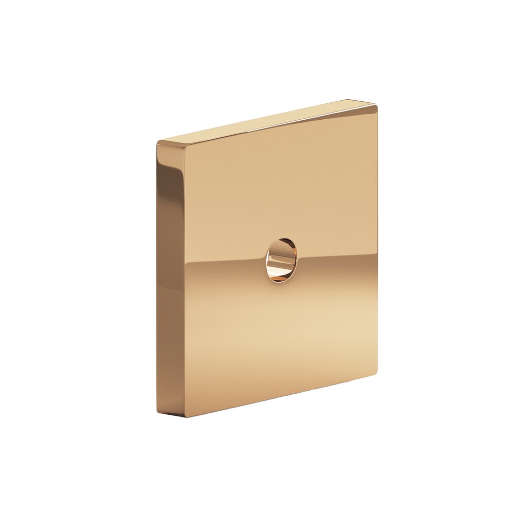 1.25" Square Backplate In Polished Bronze