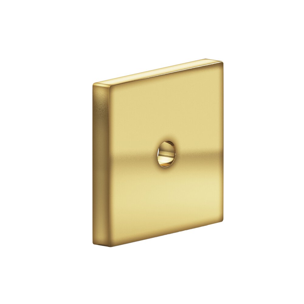 1.25" Square Backplate In Antique Bronze