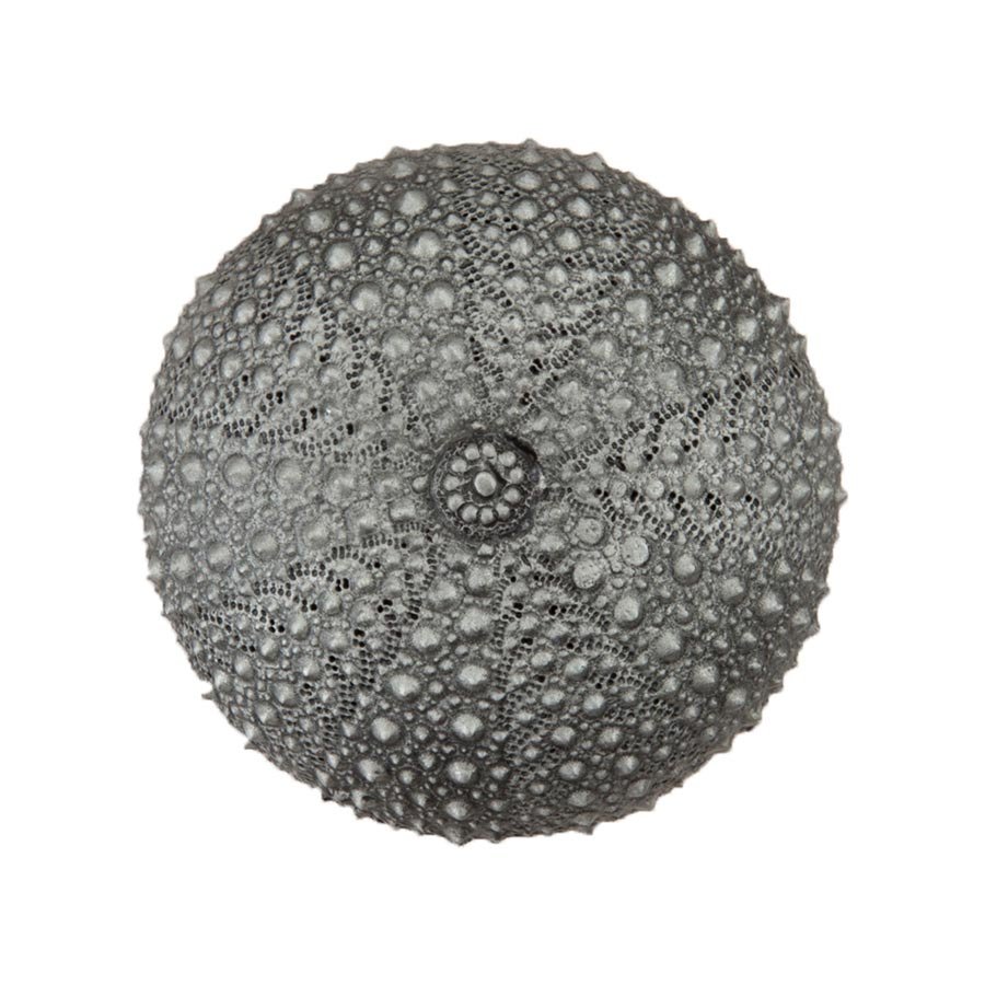 1 1/2" Sea Urchin Knob in Antique Pewter