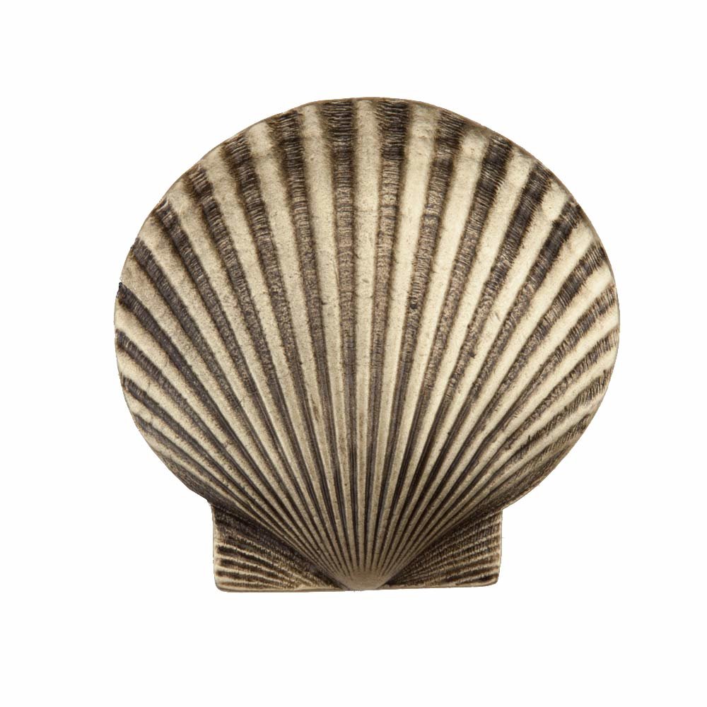 1 5/8" Large Scallop Knob in Antique Brass