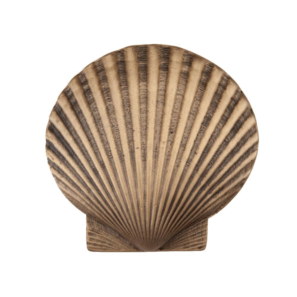 1 5/8" Large Scallop Knob in Museum Gold